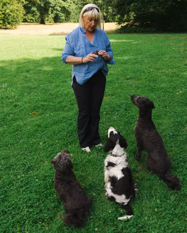 chris-berger-hundeschule-gruppe